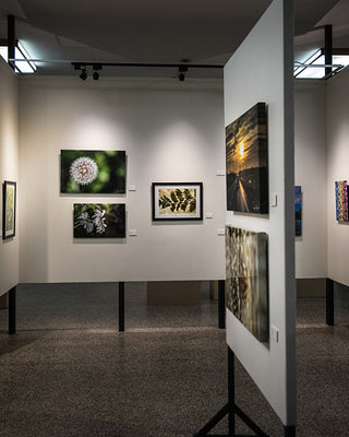 ALL GALLERY