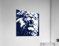 675080 :: Acrylic Print