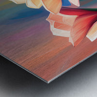 954706 :: Brushed Metal Print