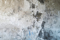 952581 :: Giclée Rolled Canvas Print