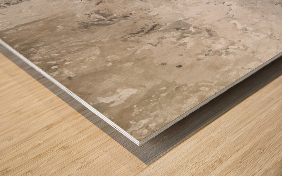 952581 :: Wood Print