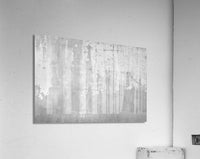 952433 :: Acrylic Print