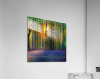 687481 :: Acrylic Print