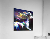 664257 :: Acrylic Print
