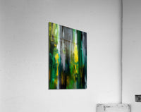 982217 :: Acrylic Print