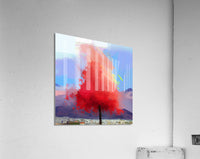 681644 :: Acrylic Print