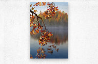 519832 :: Brushed Metal Print