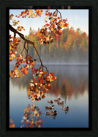 519832 :: Framed Print