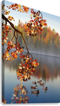 519832 :: Giclée Stretched Canvas Print