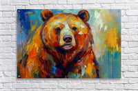 Aurora Bear