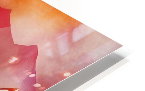 HD Sublimation Metal Print